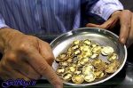 واکنش محتاطانه خریداران ، عدم استقبال از دریافت سکه‌های پیش‌فروشی